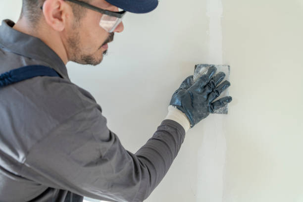 Best Black Mold Removal  in Golf Manor, OH